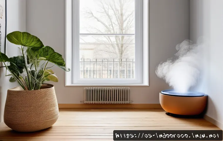 Descubre cómo la temperatura influye en la humedad y transforma tu ambiente diario 3 온도와 습도의 관계 관련 이미지 1