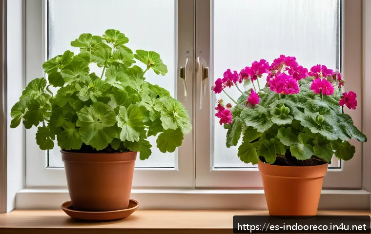 Temperaturas ideales para maximizar el crecimiento saludable de tus plantas en casa 4 식물 성장에 최적의 온도 관련 이미지 2